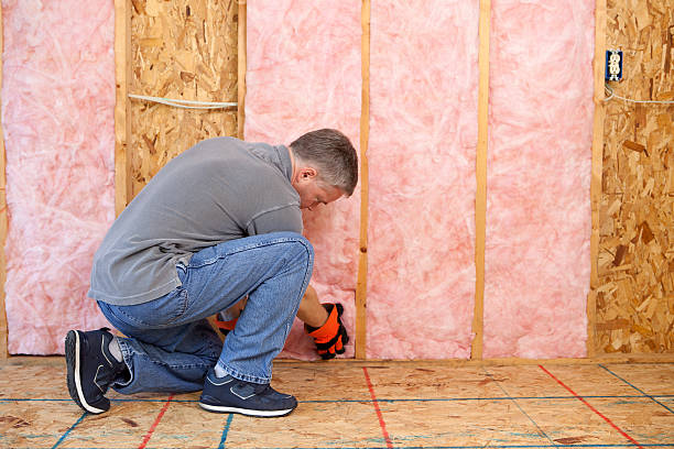 Best Insulation for Specific Applications in Edwards, MS